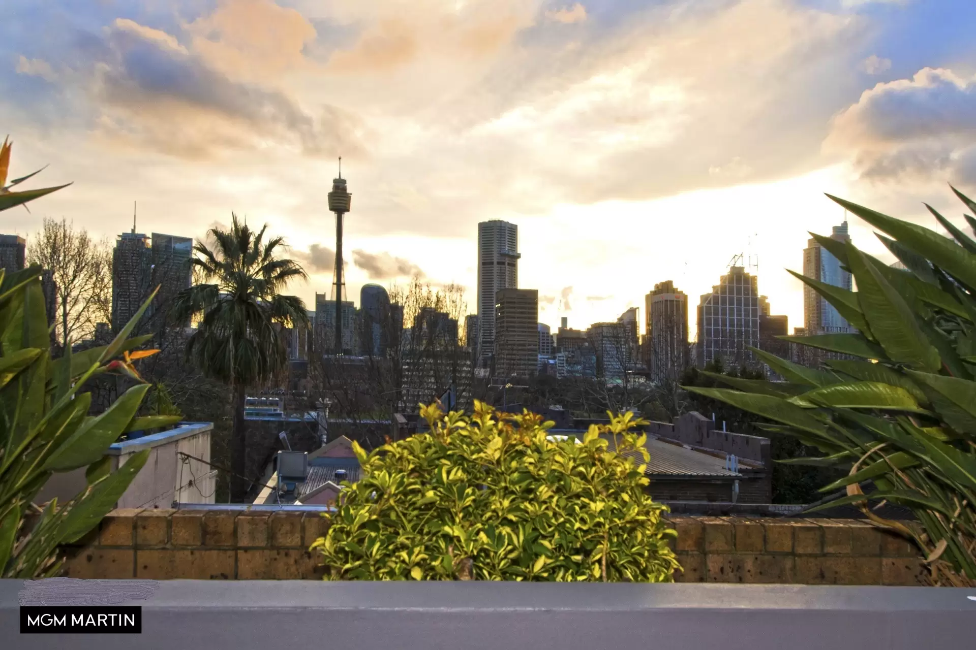209/2 Springfield Avenue, Potts Point Leased by MGM Martin - image 1