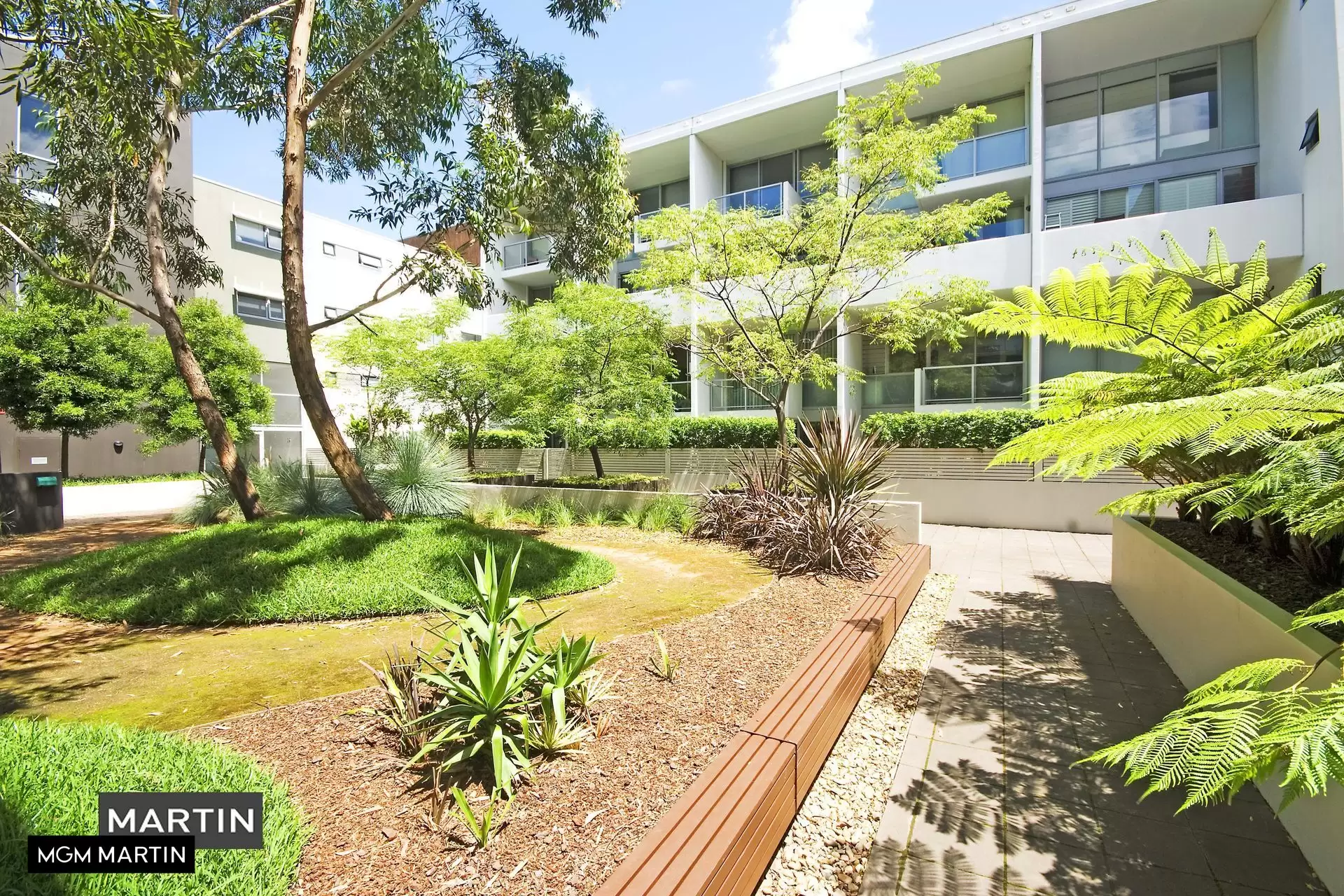 4/3 Victoria Park Parade, Zetland For Lease by MGM Martin - image 1