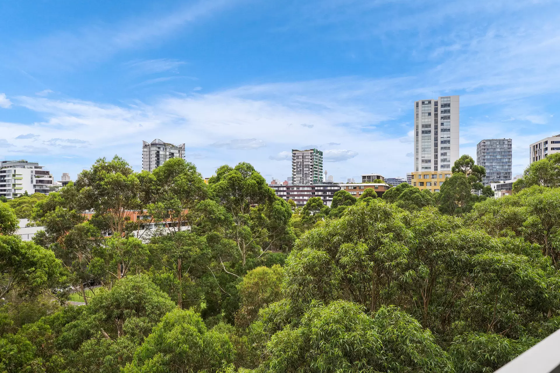 82/2 Levy Walk, Zetland Leased by MGM Martin - image 1