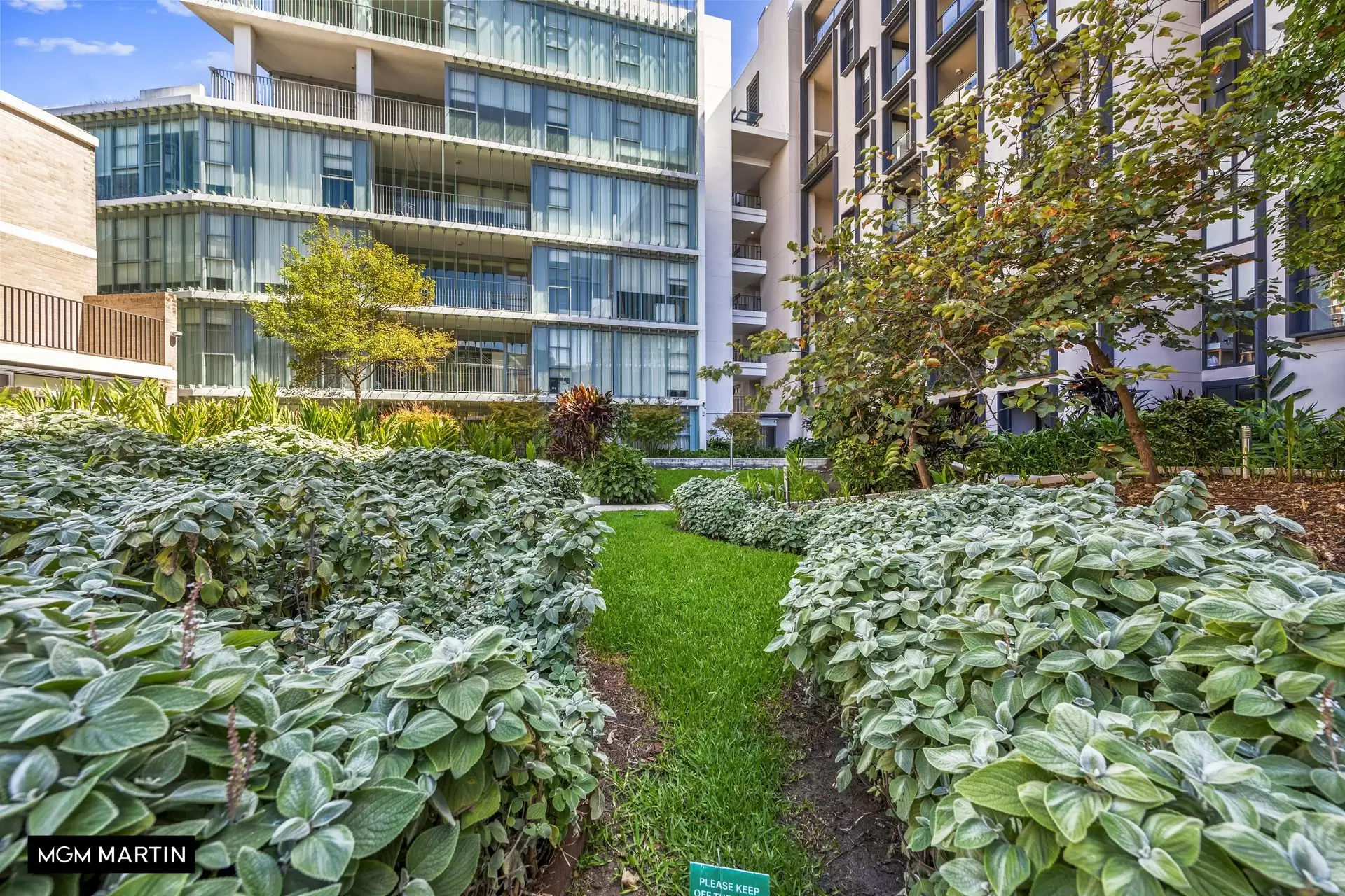 2415/6 Kingsborough Way, Zetland For Lease by MGM Martin - image 1