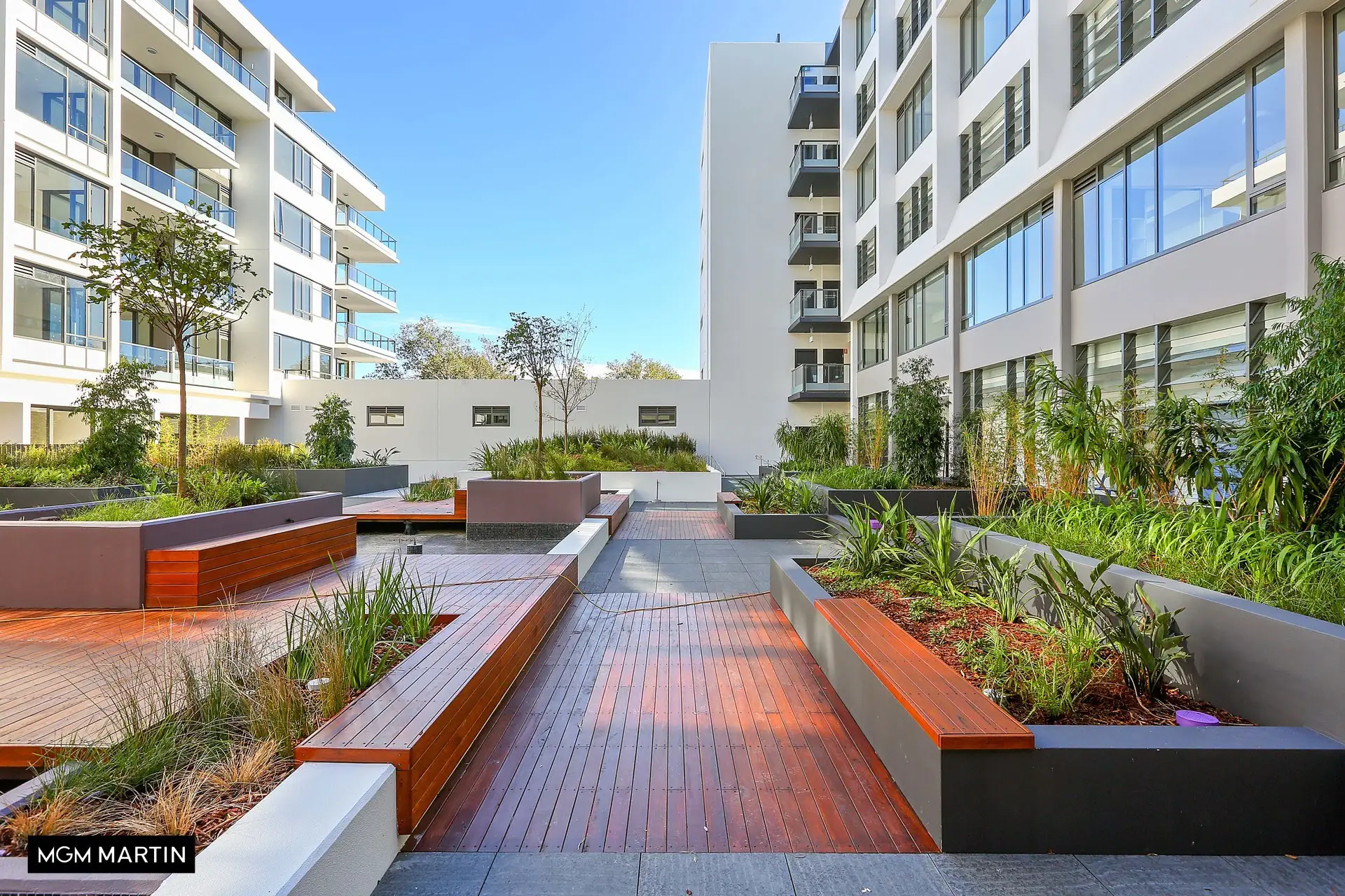 F409/34 Rothschild Avenue, Rosebery Leased by MGM Martin - image 1
