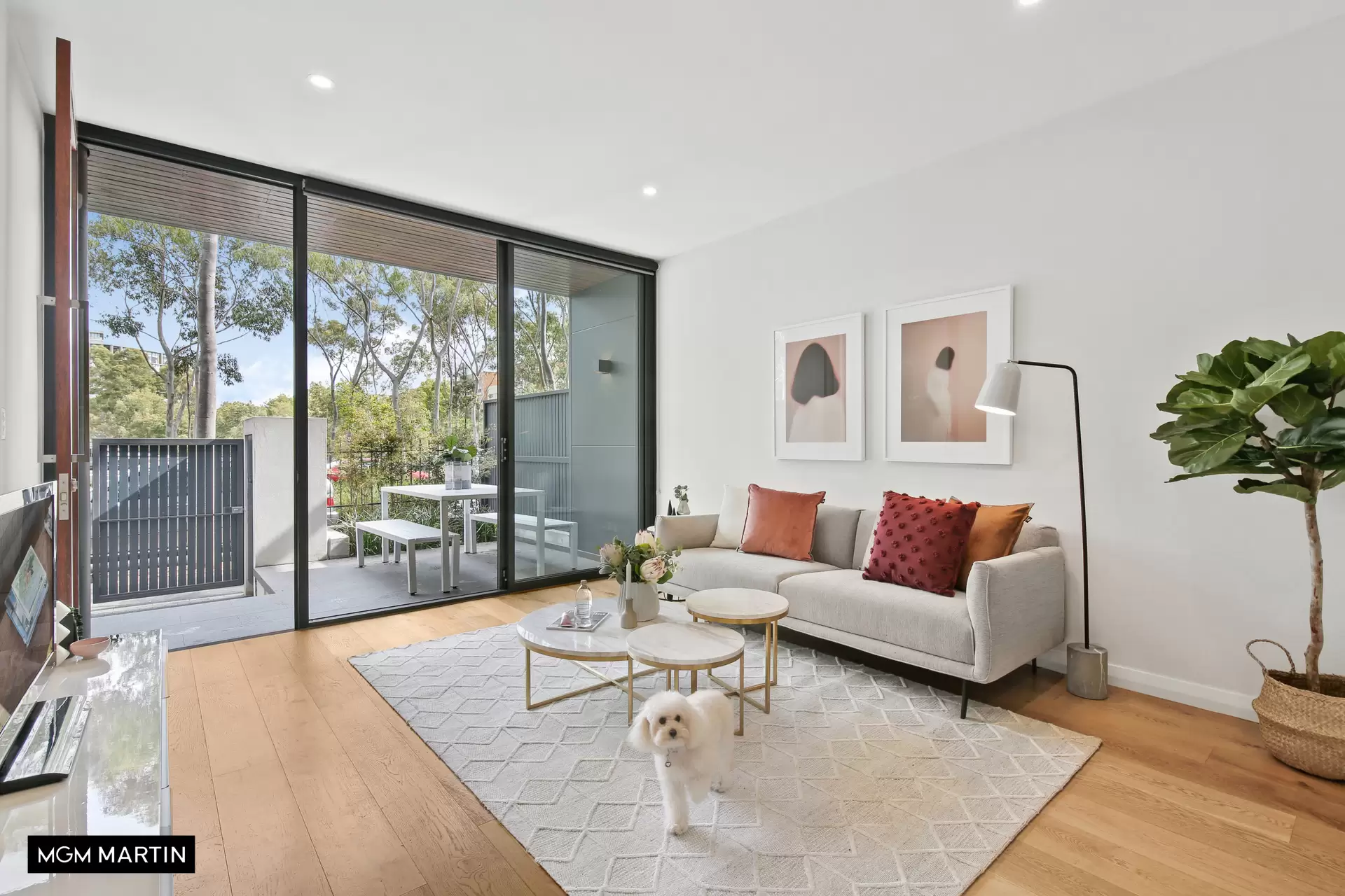 17/6 Wolseley Grove, Zetland Leased by MGM Martin - image 1